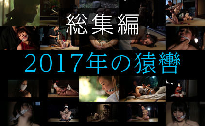 2017年の猿轡