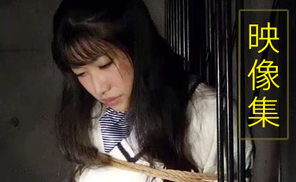 灯月いつか 映像集