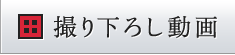 撮り下ろし動画