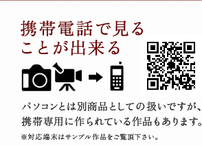 携帯電話で見ることが出来る