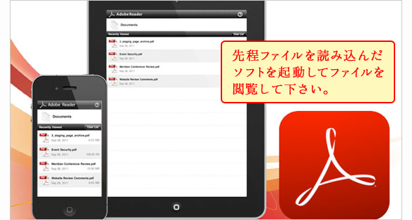 iPad iPhone 再生